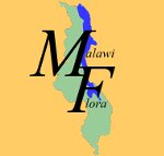 Malawi flora logo