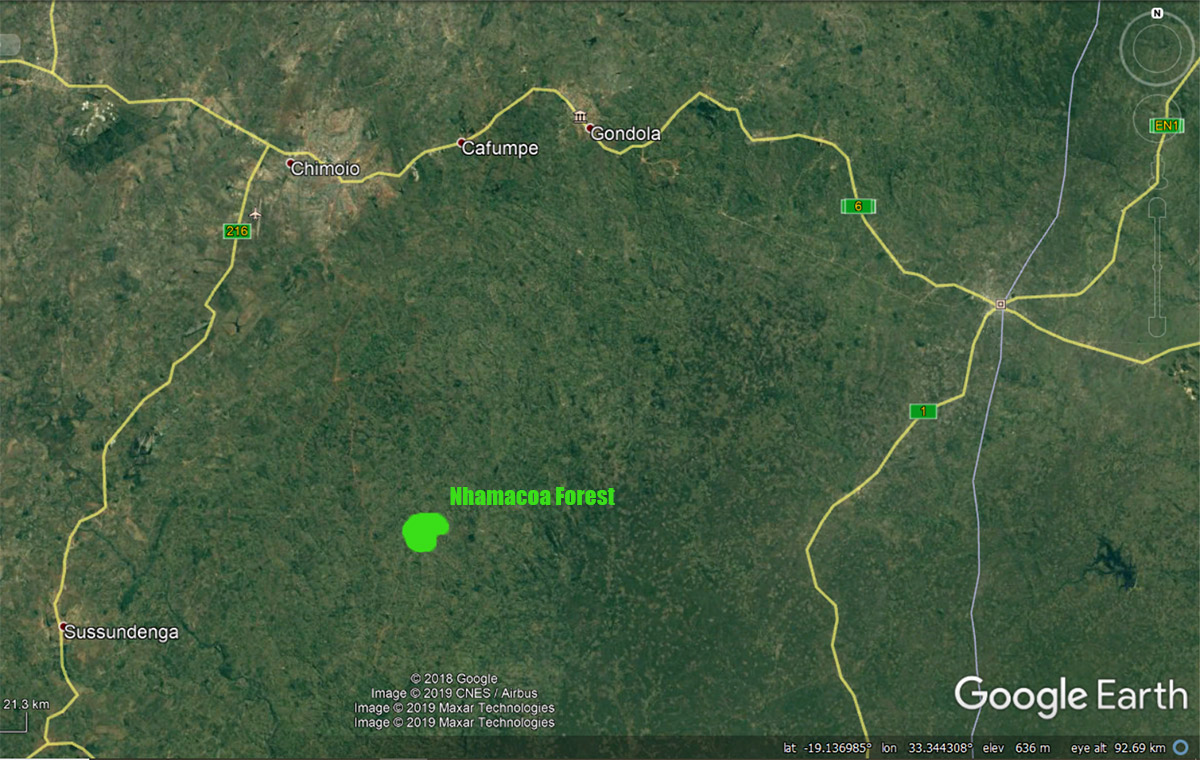 Satellite image indication location of Nhamacoa Forest