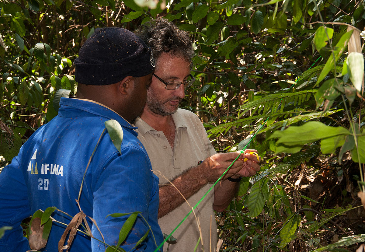 Setting up an inventory plot in Moribane.